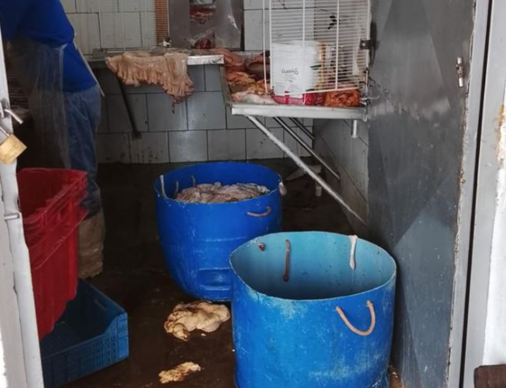 RS: operação apreende 2 toneladas de alimentos e interdita frigorífico