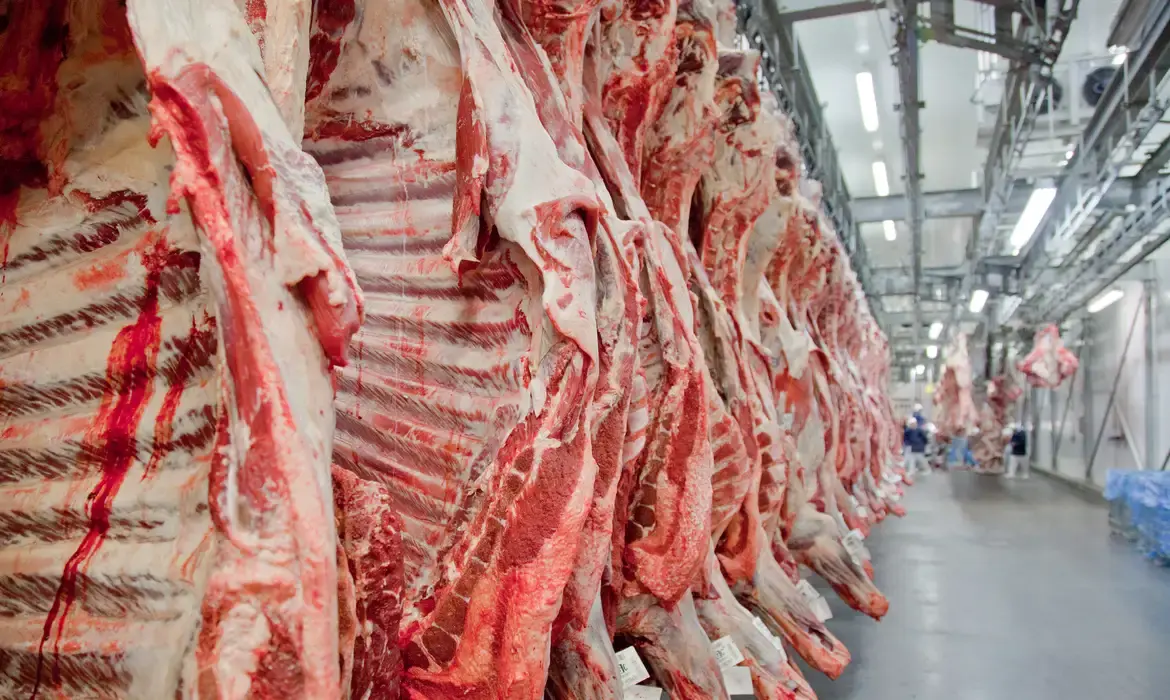 União Europeia suspende importação de carne brasileira a partir de setembro por regras sanitárias