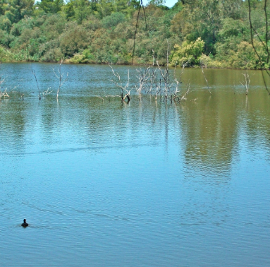 Lagoa dos Patos supera cota de inundação e deixa Rio Grande em alerta