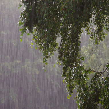 NOAA confirma início do El Niño e prevê fenômeno intenso até 2027