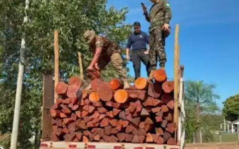Operação apreende carga histórica de c0caín4 escondida em madeira na fronteira com a Bolívia