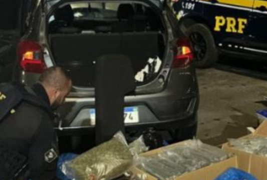 PRF apreende 39 kg de skunk e prende jovem na BR-290 em Porto Alegre