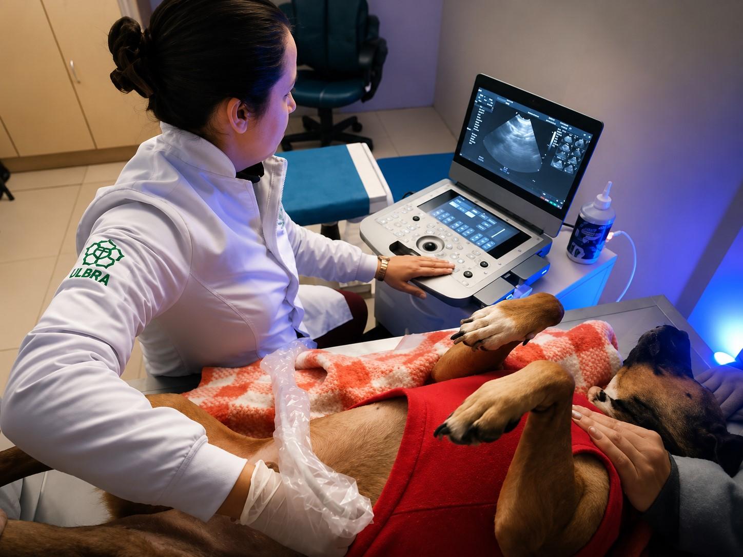 Ulbra investe R$ 800 mil em Hospital Veterinário e amplia estrutura para atendimento e ensino