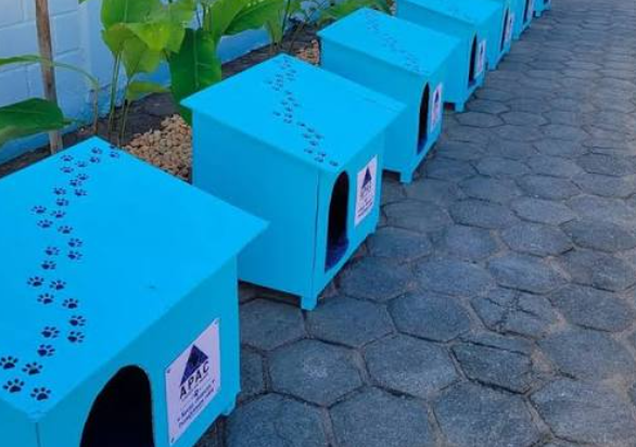 Detentos transformam marcenaria em esperança para animais abandonados em Lagoa da Prata
