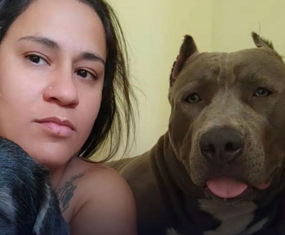 Mulher é morta a facadas dentro de supermercado em São Paulo; companheiro é preso suspeito do crime