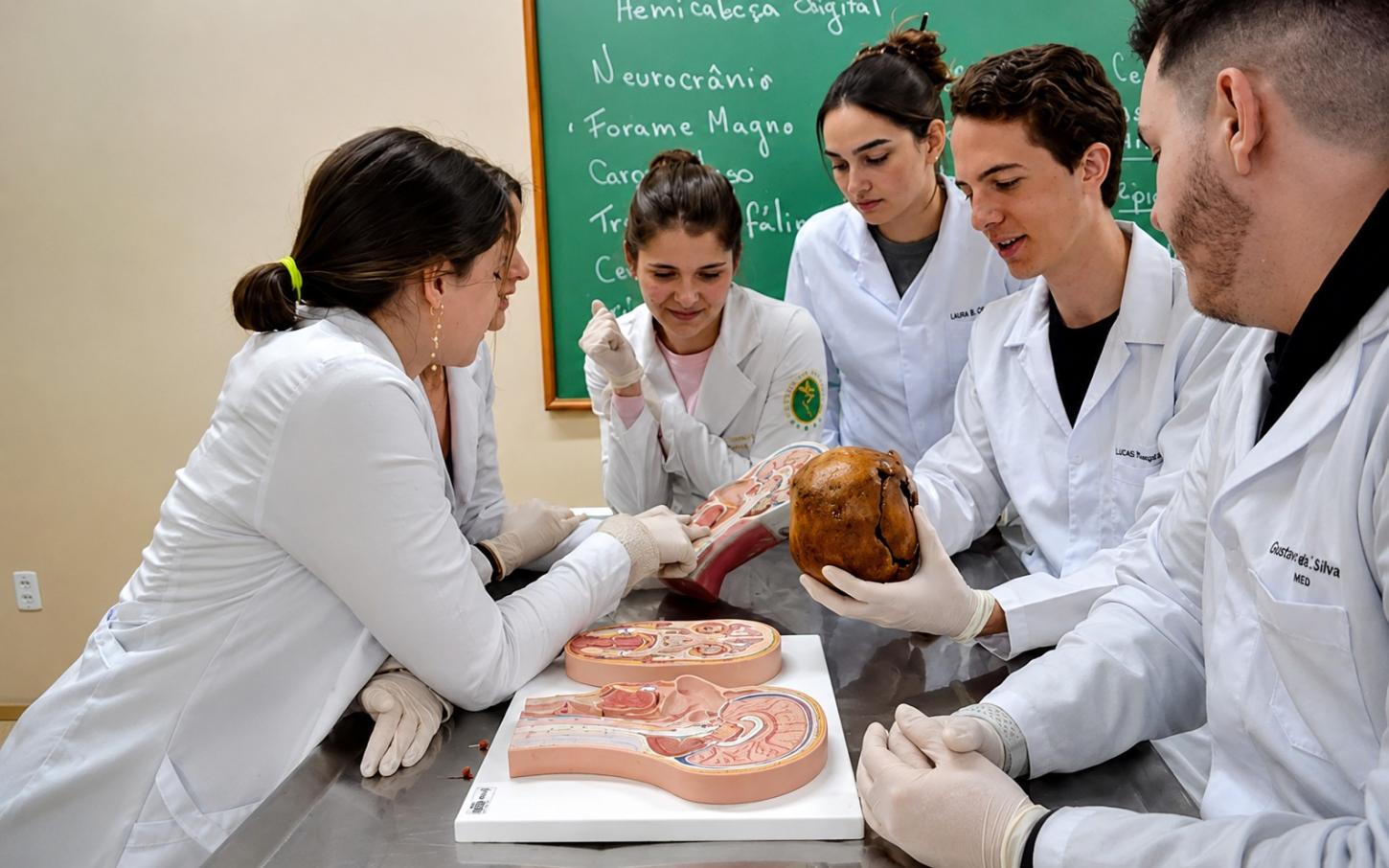 Ulbra abre 120 vagas para Medicina em Canoas com nova matriz curricular e mais tempo de prática