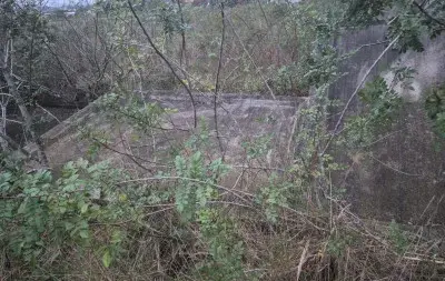 C4dáv3r é encontrado sob escombros de muro em área de mata em Cachoeirinha