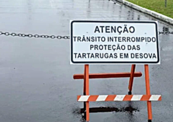 Prefeitura de Osório bloqueia rua até março de 2027 para proteger tartarugas durante período de desova