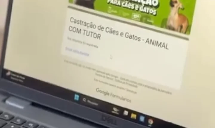 Ação de castração gratuita no centro de Guaíba terá vagas limitadas para 300 animais; Saiba como participar