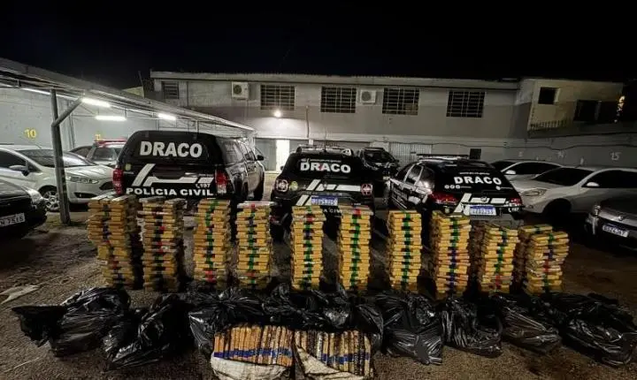 Apreensões da Polícia Civil superam uma tonelada de maconha em menos de 12 horas no Sul do Estado