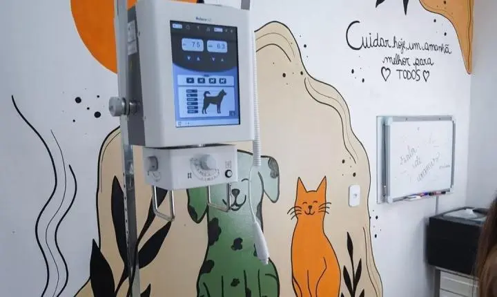 Clínica Veterinária Municipal de Guaíba passa a contar com nova sala de exames e amplia estrutura de atendimento