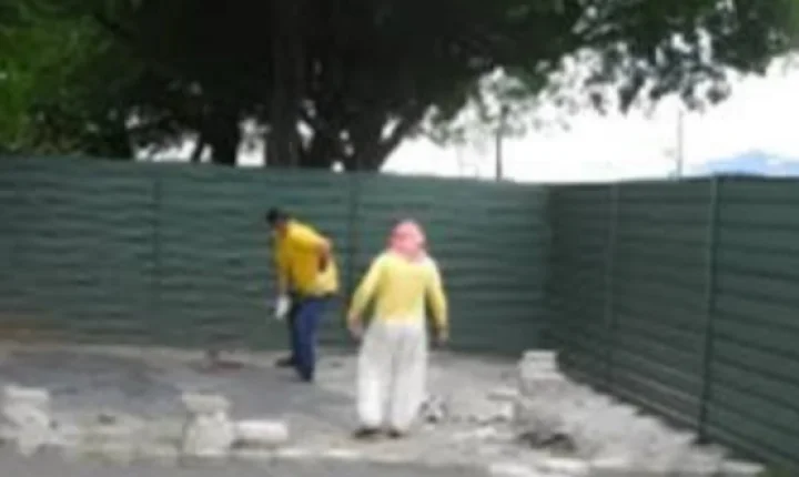 De banqueiro a jardineiro: Daniel Vorcaro passa a cuidar de hortas na Papudinha