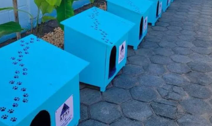 Detentos transformam marcenaria em esperança para animais abandonados em Lagoa da Prata