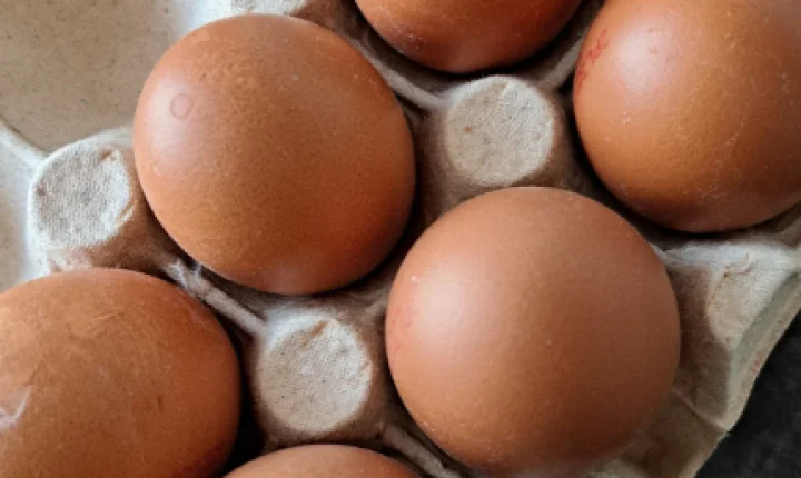 Guerra no Irã já pressiona preço de ovos, frango e carne suína no Brasil