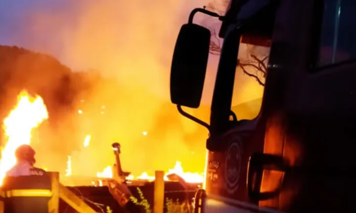 Homem é condenado a 16 anos e 5 meses por incendiar casa da irmã e provocar morte de três animais em Portão