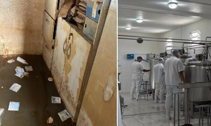 Indústria de laticínios de Eldorado do Sul amplia faturamento após retomada pós-enchente