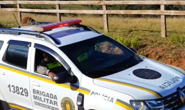 Internet via satélite passa a equipar viaturas da Brigada Militar em Guaíba e mais quatro municípios