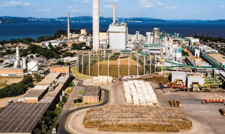 MPF ingressa com ação para incluir comunidades tradicionais no licenciamento da nova fábrica da CMPC em Barra do Ribeiro