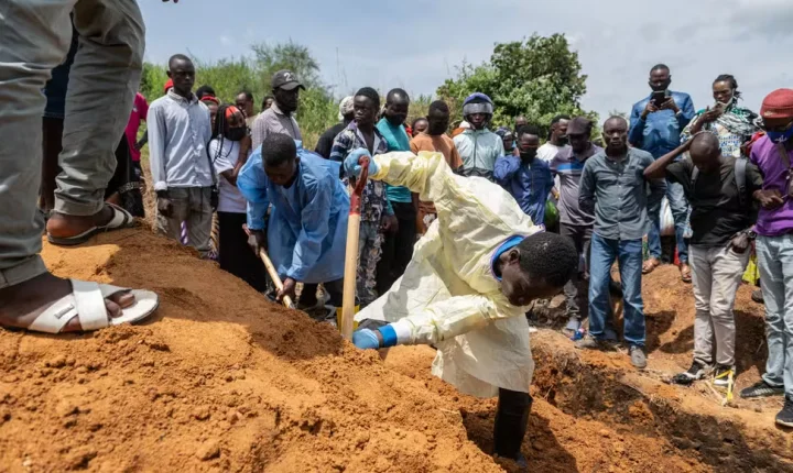 OMS monitora mais de 900 casos suspeitos de Ebola em surto registrado na África Central