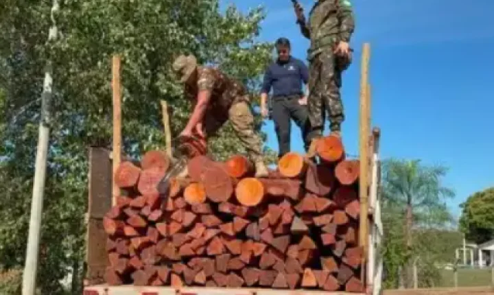Operação apreende carga histórica de c0caín4 escondida em madeira na fronteira com a Bolívia