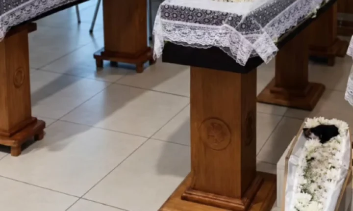 Pai, duas filhas e cachorrinha m0rr3m em acidente na BR-163; pet foi velada ao lado da família