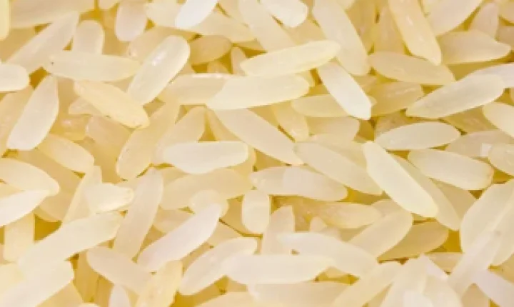 Preço do arroz volta a superar R$ 80 após mais de um ano, mas produtor ainda enfrenta prejuízo