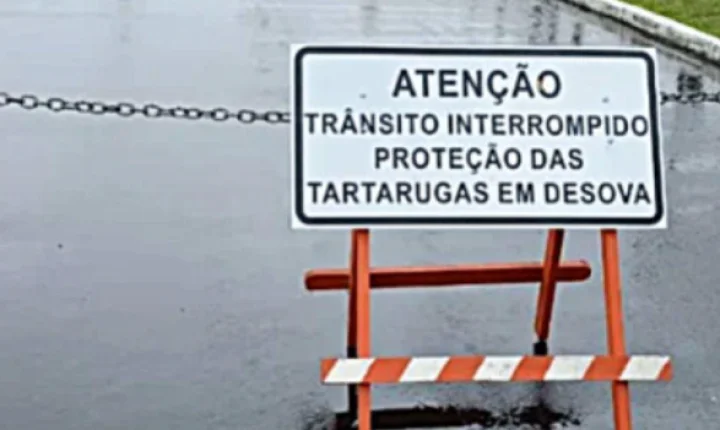 Prefeitura de Osório bloqueia rua até março de 2027 para proteger tartarugas durante período de desova