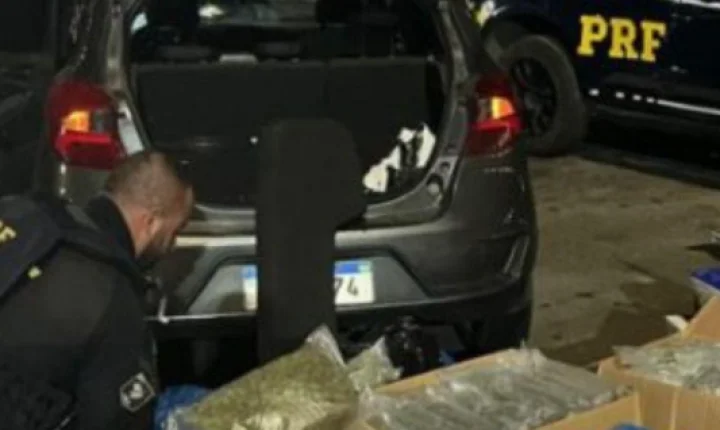 PRF apreende 39 kg de skunk e prende jovem na BR-290 em Porto Alegre