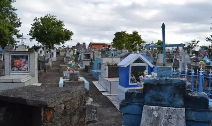 Projeto de Lei aprovado em Guaíba autoriza enterro de cães e gatos em cemitérios da cidade