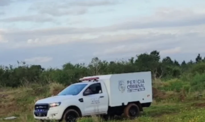 Recém-nascida é encontrada m0rt4 dentro de saco em área de mato; polícia busca identificar responsável