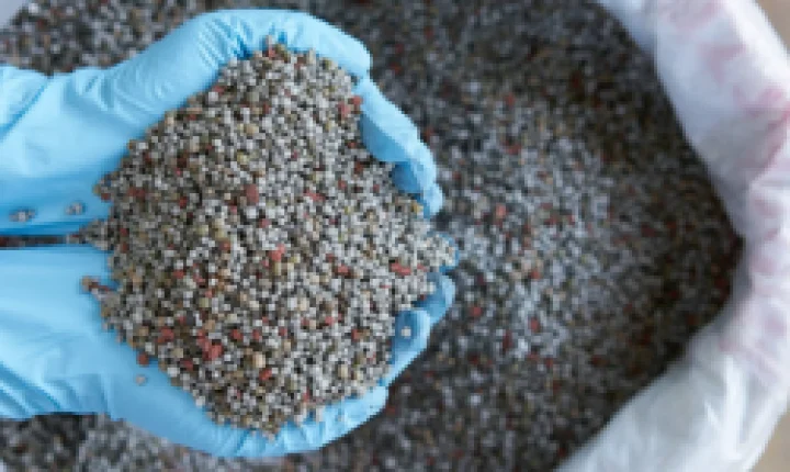 Risco de falta de fertilizantes acende alerta para próxima safra no Brasil