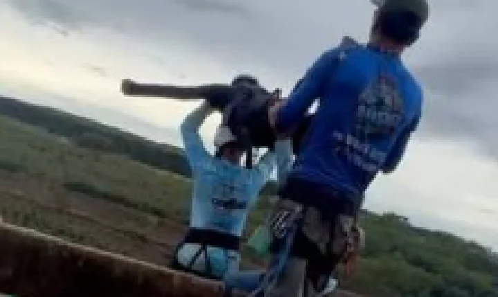 Seis pessoas são presas após morte de jovem em salto na Ponte do Esqueleto