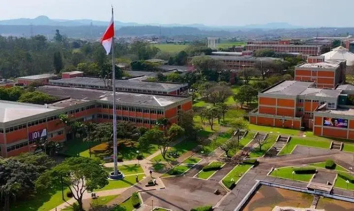 Ulbra abre inscrições para 31 cursos de pós-graduação EAD em cinco áreas do conhecimento