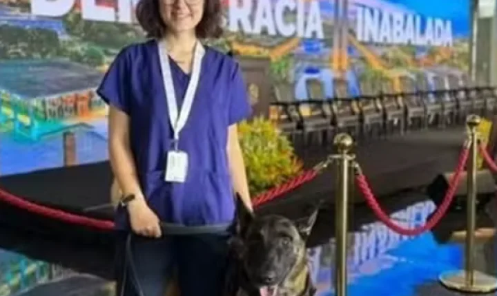 Veterinária morre após ser atacada por cão durante atendimento no Senado Federal