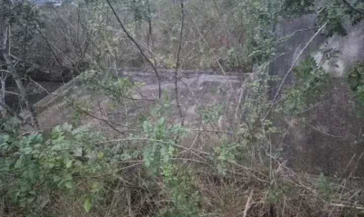 C4dáv3r é encontrado sob escombros de muro em área de mata em Cachoeirinha